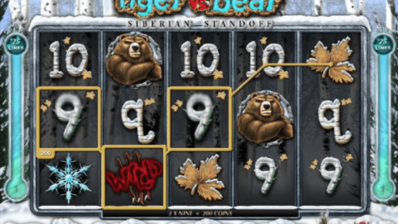 Игровой автомат Tiger vs Bear